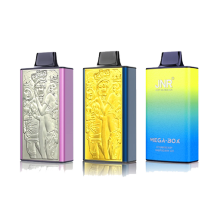 JNR Mega Box 25000 Puffs Disposable Vape (Boîte de 10)